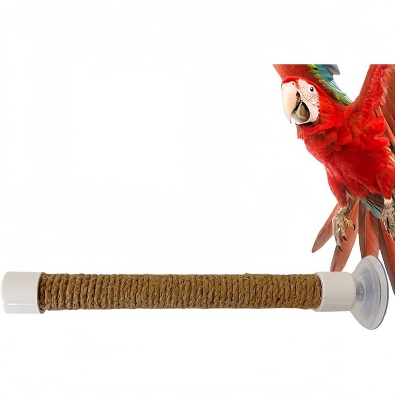 ZooVenture Portable Perchoir pour Oiseaux