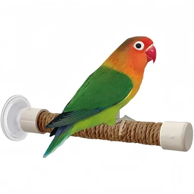 ZooVenture Portable Perchoir pour Oiseaux