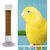ZooVenture Portable Perchoir pour Oiseaux