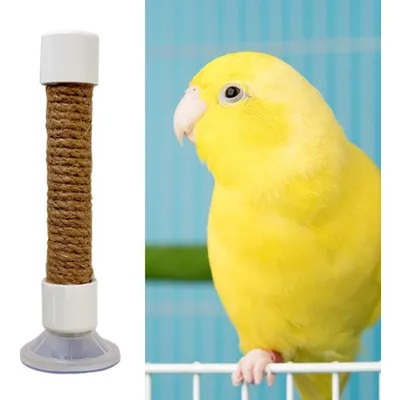ZooVenture Portable Perchoir pour Oiseaux