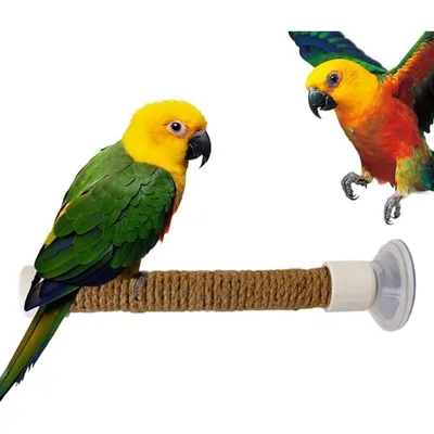 ZooVenture Portable Perchoir pour Oiseaux