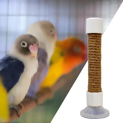 ZooVenture Portable Perchoir pour Oiseaux