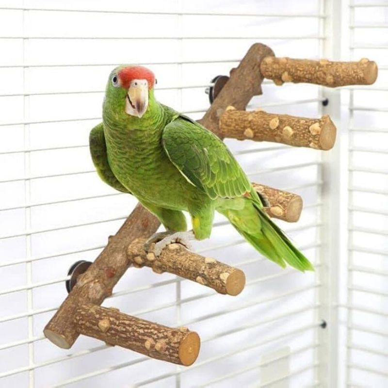 Pet Planet Oiseaux Perchoir En Bois De Fagara