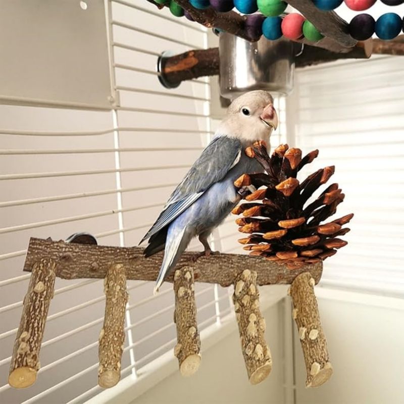 Pet Planet Oiseaux Perchoir En Bois De Fagara