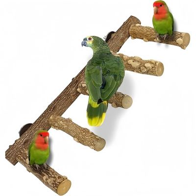 Pet Planet Oiseaux Perchoir En Bois De Fagara