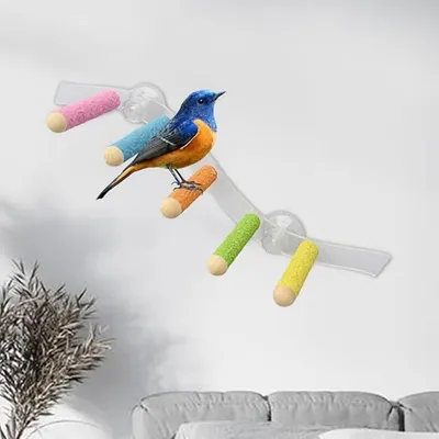 ZooVenture Portable Perchoirs pour Oiseaux