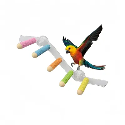 ZooVenture Portable Perchoirs pour Oiseaux
