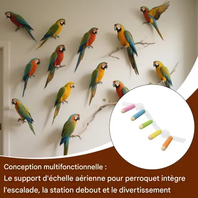 ZooVenture Portable Perchoirs pour Oiseaux
