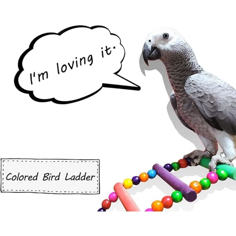 Pet Planet Perroquets Jouet Coloré Suspendu