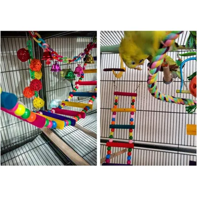 Zooventure Pratique Échelle En Bois Pour Animaux