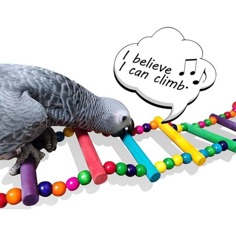 Pet Planet Perroquets Jouet Coloré Suspendu