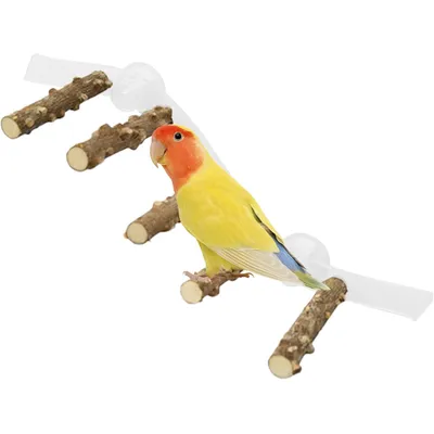 ZooVenture Portable Perchoirs pour Oiseaux