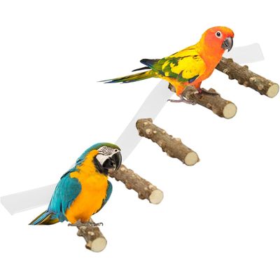 ZooVenture Portable Perchoirs pour Oiseaux