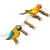 ZooVenture Portable Perchoirs pour Oiseaux