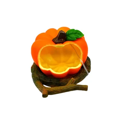 Petopia Mangeoire à oiseaux