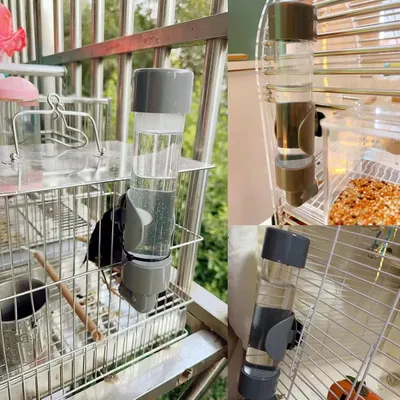 Pet Planet Fontaine à eau automatique pour oiseaux
