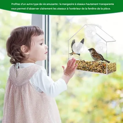 ZooVenture Mangeoire à oiseaux pour fenêtre
