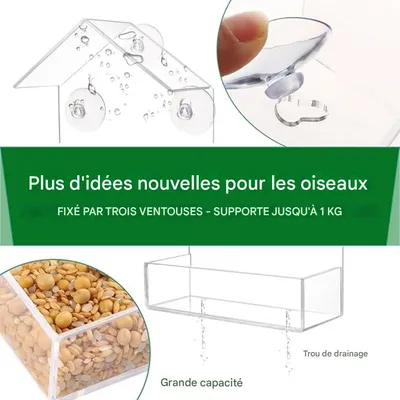 ZooVenture Mangeoire à oiseaux pour fenêtre