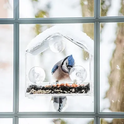 ZooVenture Mangeoire à oiseaux pour fenêtre