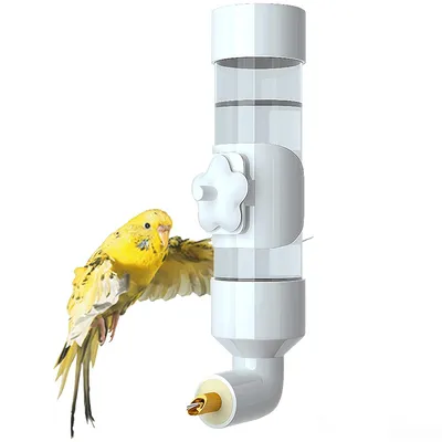 Pet Planet Fontaine à eau automatique pour oiseaux