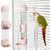 ZooVenture Automatique Distributeur Eau Pour Oiseaux