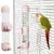 ZooVenture Automatique Distributeur Eau Pour Oiseaux