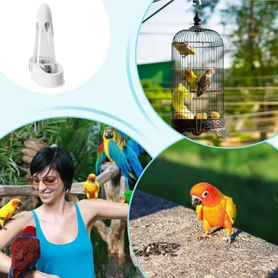 Pet Planet Perroquets Biberon D'eau Automatique