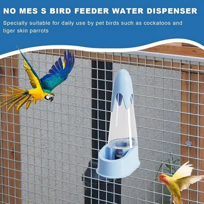 Pet Planet Perroquets Biberon D'eau Automatique