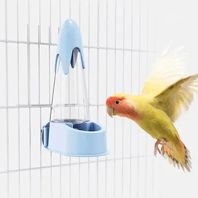 Pet Planet Perroquets Biberon D'eau Automatique