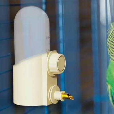 ZooVenture Transparent Bouteille d'eau pour Cage à Oiseaux