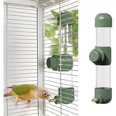 ZooVenture Automatique Distributeur Eau Pour Oiseaux