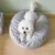 IntiMeg Lit pour chien Acquo - Rond