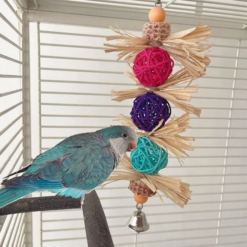 Pet Planet Perroquets Jouet de Boule de Vigne en Écorce de Maïs