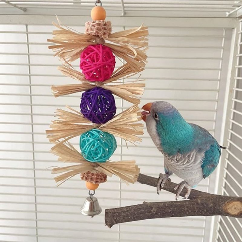 Pet Planet Perroquets Jouet de Boule de Vigne en Écorce de Maïs