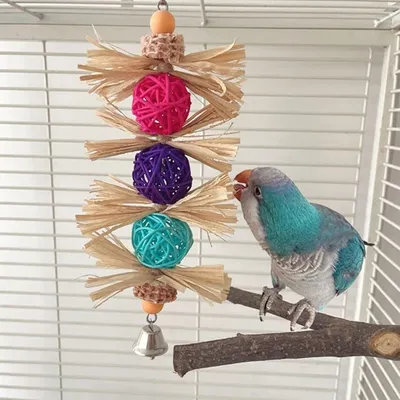 ZooVenture Coloré Jouet à mâcher pour Oiseaux