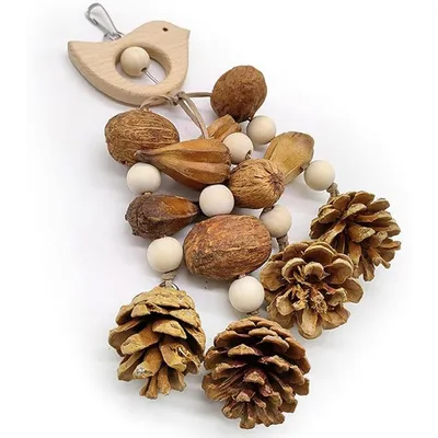 Pet Planet Perroquets Jouet de Suspension à Pin