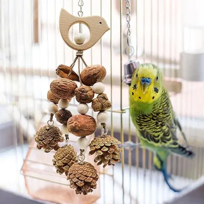 Pet Planet Perroquets Jouet de Suspension à Pin
