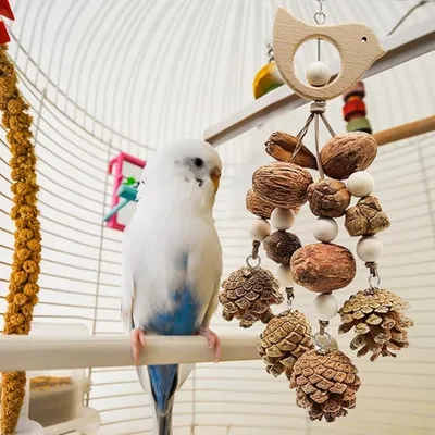 Pet Planet Perroquets Jouet de Suspension à Pin