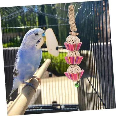 ZooVenture Suspendu Jouet à Mâcher pour Oiseaux