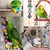 Pet Planet Perroquets Jouet Coloré Suspendu