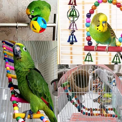 Pet Planet Perroquets Jouet Coloré Suspendu