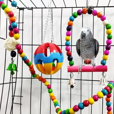 Pet Planet Perroquets Jouet Coloré Suspendu