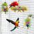 Pet Planet Oiseaux Jouet De Boule De Vigne Filamentée