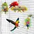 ZooVenture Créatif 3 Pièces Jouets Pour Oiseaux