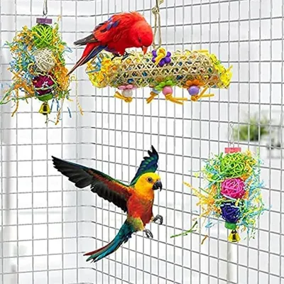 ZooVenture Créatif 3 Pièces Jouets Pour Oiseaux