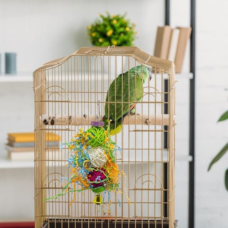 Pet Planet Oiseaux Jouet De Boule De Vigne Filamentée