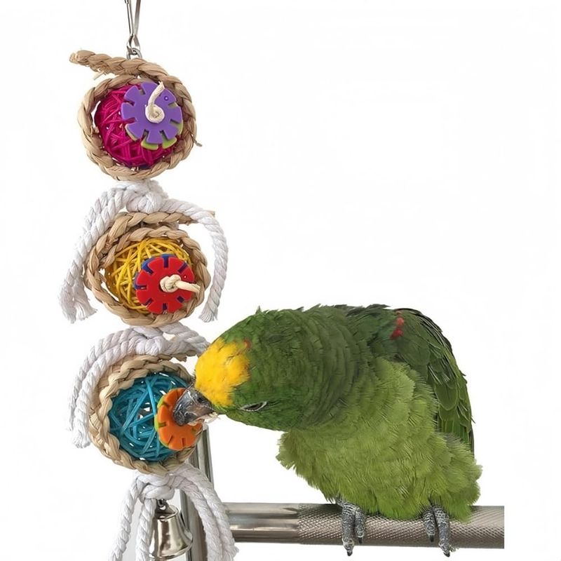 Pet Planet Oiseaux Jouet de Boule de Vigne en Tresse