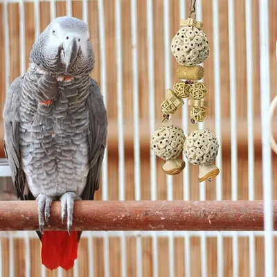 ZooVenture Naturel Jouet à Mâcher pour Oiseaux