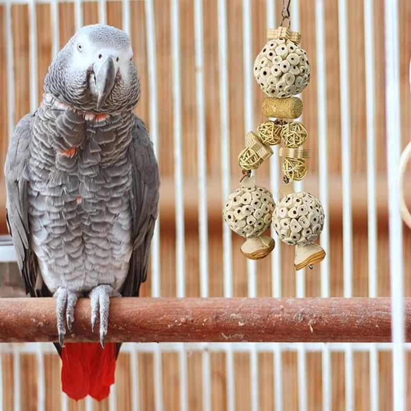 Pet Planet Perroquets Jouet En Boule De Rizier Naturel