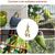 ZooVenture Naturel Jouet à Mâcher pour Oiseaux